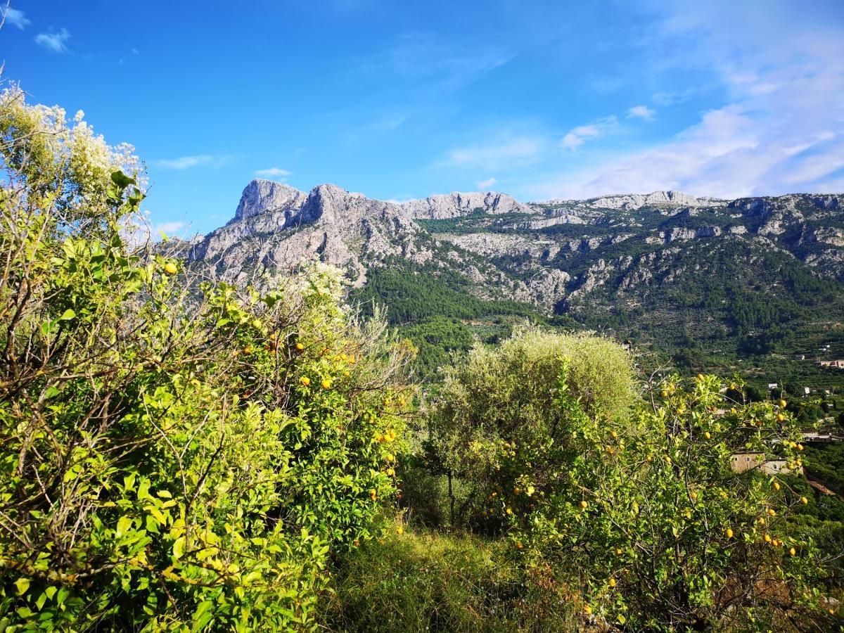 Villa Ideal Soller Exterior photo