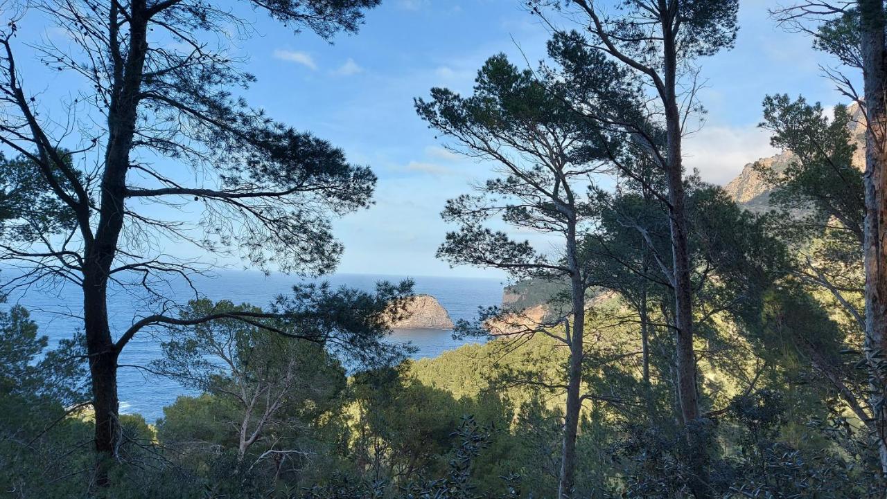 Villa Ideal Soller Exterior photo